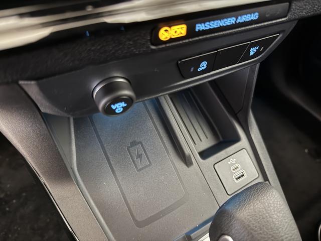 Ford Puma ST-Line Cactus Grau