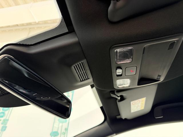 Ford Puma ST-Line Cactus Grau