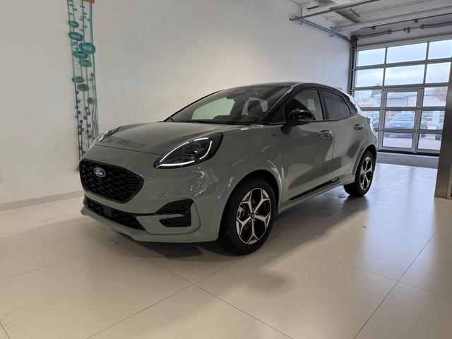 Ford Puma ST-Line Cactus Grau Dach Schwarz