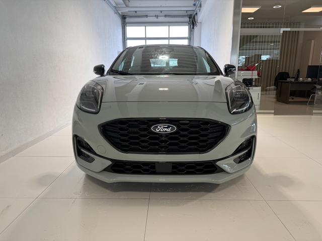 Ford Puma ST-Line Cactus Grau Dach Schwarz