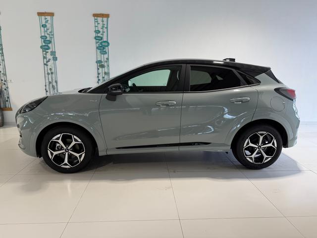 Ford Puma ST-Line Cactus Grau Dach Schwarz