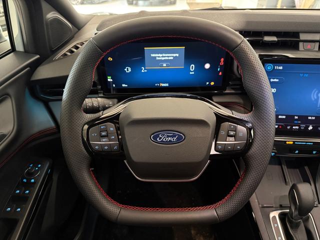 Ford Puma ST-Line Cactus Grau Dach Schwarz