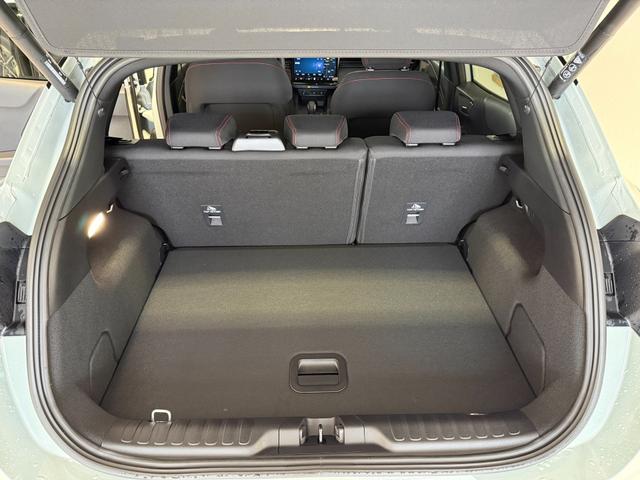 Ford Puma ST-Line Cactus Grau Dach Schwarz