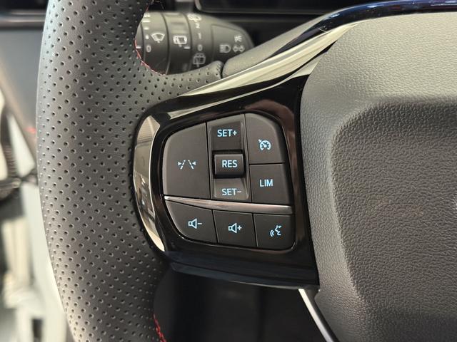 Ford Puma ST-Line Cactus Grau Dach Schwarz