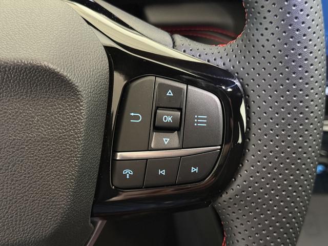 Ford Puma ST-Line Cactus Grau Dach Schwarz