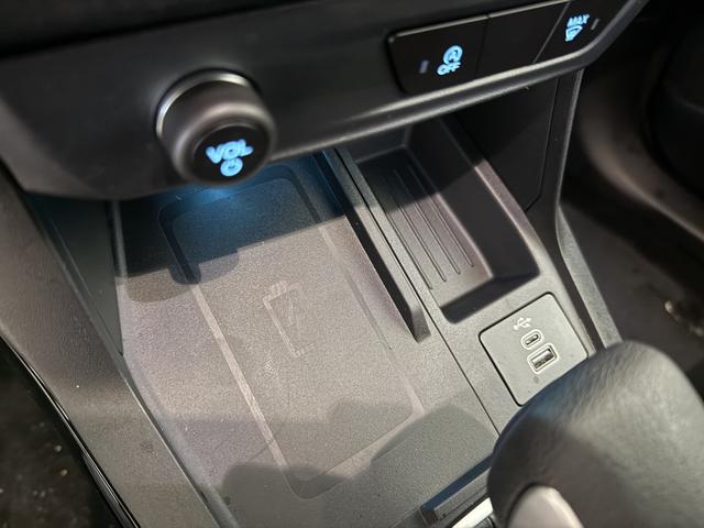 Ford Puma ST-Line Cactus Grau Dach Schwarz