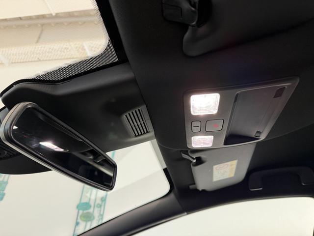 Ford Puma ST-Line Cactus Grau Dach Schwarz