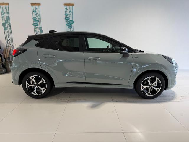 Ford Puma ST-Line Cactus Grau Dach Schwarz