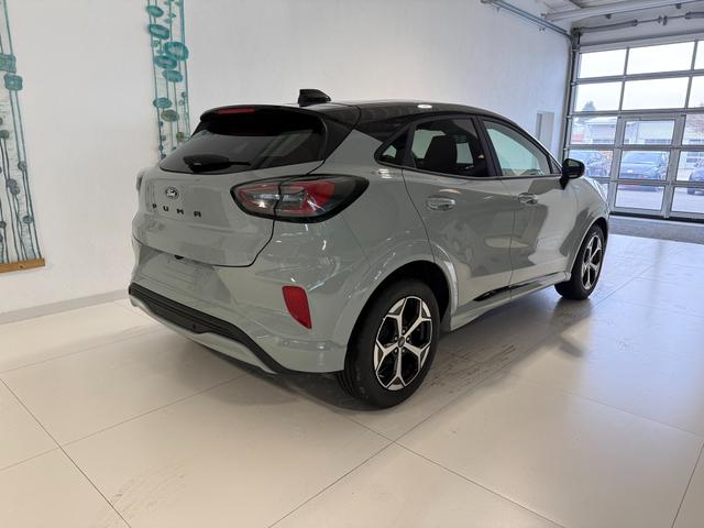 Ford Puma ST-Line Cactus Grau Dach Schwarz