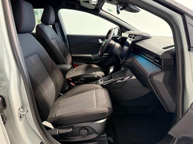 Ford Puma ST-Line Cactus Grau Dach Schwarz