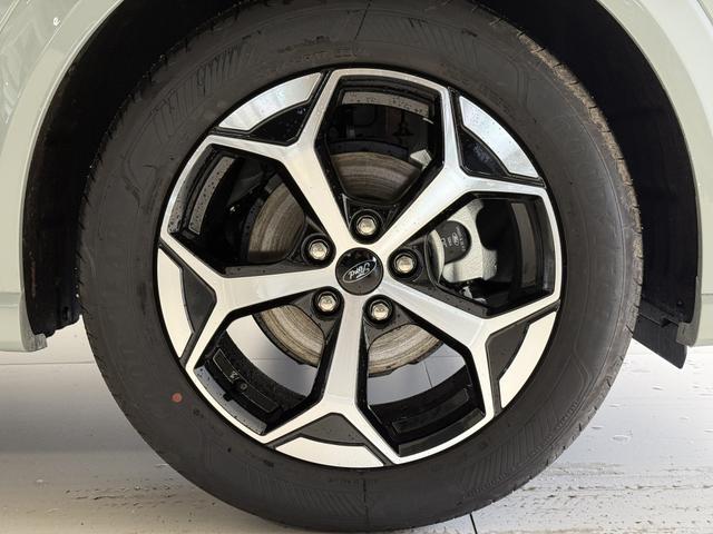 Ford Puma ST-Line Cactus Grau Dach Schwarz