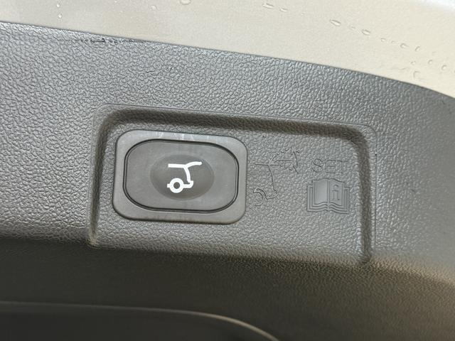 Ford Puma ST-Line Solar Silber Dach Schwarz