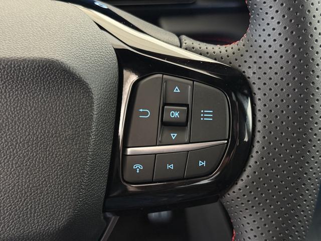 Ford Puma ST-Line Solar Silber Dach Schwarz