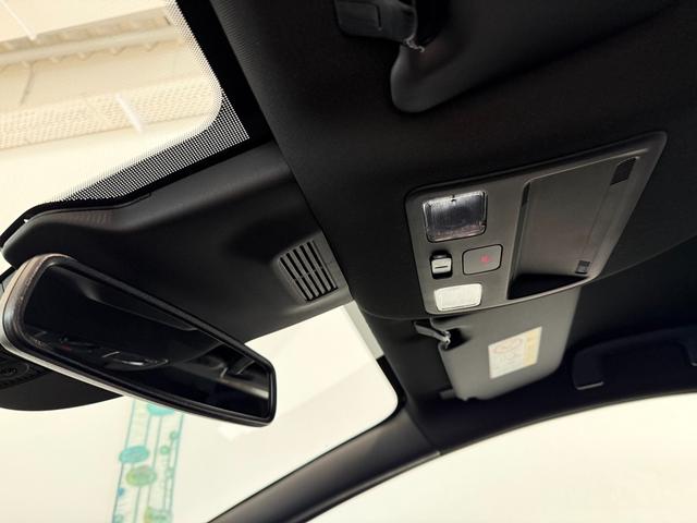 Ford Puma ST-Line Solar Silber Dach Schwarz