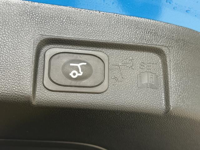 Ford Puma ST-Line Digital Aqua Dach Schwarz