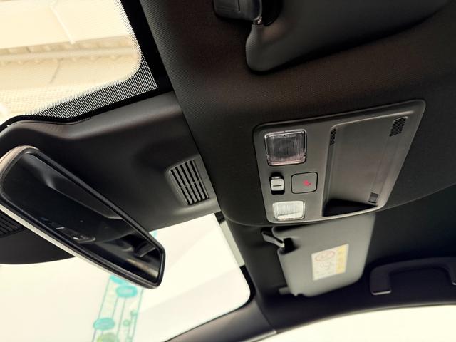 Ford Puma ST-Line Digital Aqua Dach Schwarz