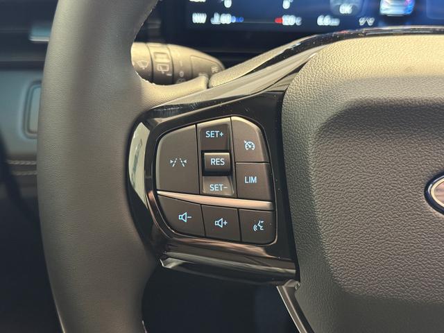 Ford Puma Titanium Agate Schwarz