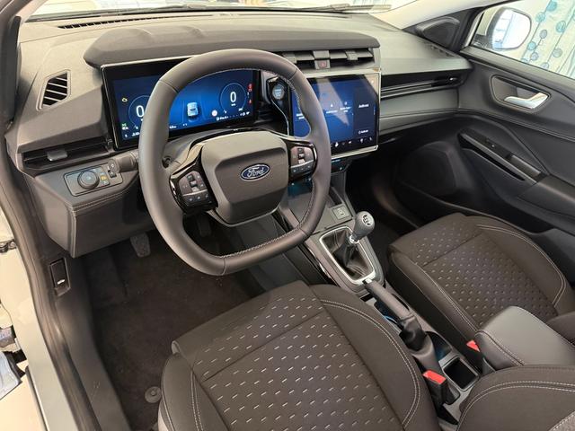 Ford Puma Titanium Cactus Grau