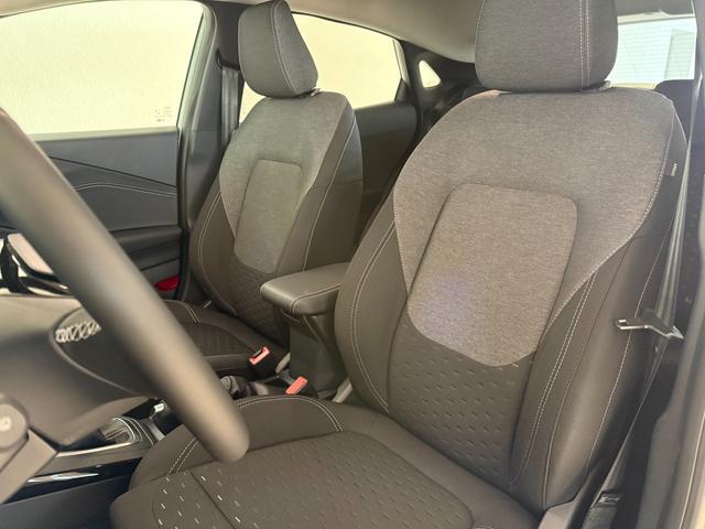 Ford Puma Titanium Cactus Grau