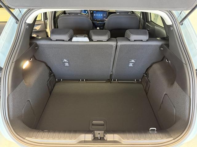 Ford Puma Titanium Cactus Grau