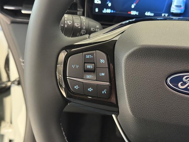 Ford Puma Titanium Cactus Grau