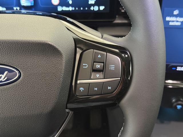 Ford Puma Titanium Cactus Grau