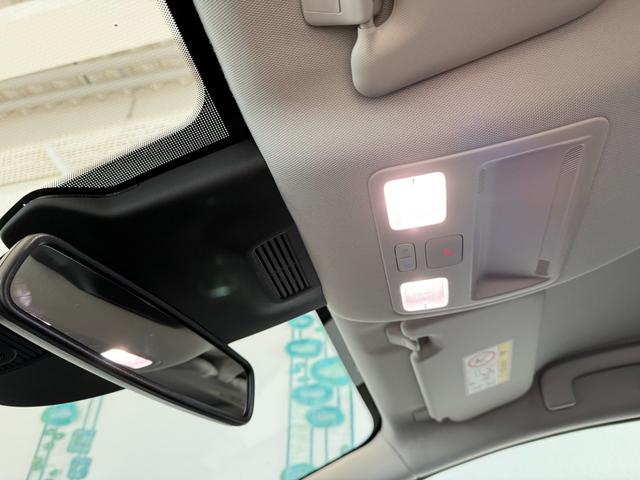 Ford Puma Titanium Cactus Grau