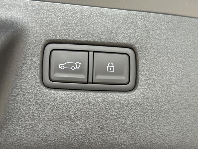 Hyundai Santa Fe Prestige Line Ecotronic Gray