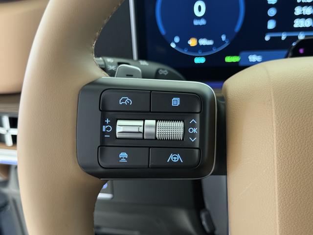 Hyundai Santa Fe Prestige Line Ecotronic Gray