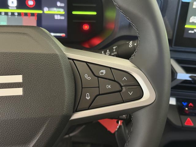 Dacia Bigster Zeder Gruen