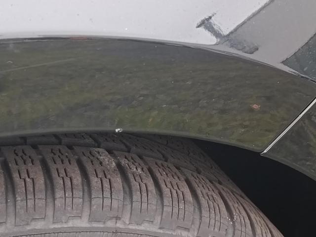 Ford Mustang 2.3 EcoBoost REMUS AUSPUFF 