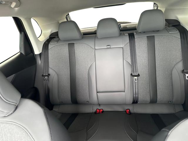 MG S5 EV Comfort Standard Range TOTW ACC LENKRADH SITZH 