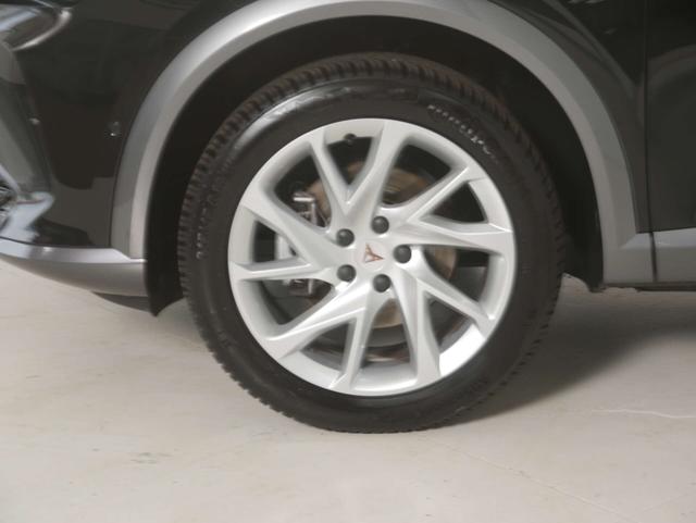 Cupra Formentor 1 2.0 TDI 4Drive 