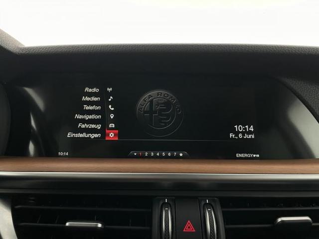 Alfa Romeo Stelvio 2.0 Turbo 16V Q4 First Edition *PANO*Leder*LED*SHZ*Keyless*PDC*Kamera* 