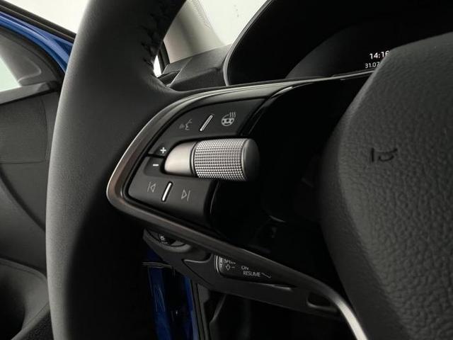 Skoda Fabia TOP Selection 1.0 TSI 85 KW (116 PS) 7-Gang DSG 