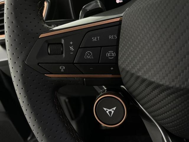 Cupra Formentor VZ 2.0 TSI *DCC*AHK*NAVI*ACC*LED*SHZ* 