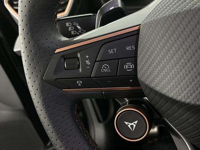 Cupra Formentor VZ 2.0 TSI *DCC*AHK*NAVI*ACC*LED*SHZ* 