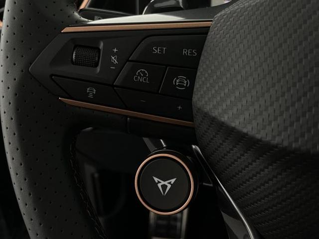 Cupra Formentor VZ 2.0 TSI 245kW (333 PS) 4Drive 7-Gang-Doppelkupplungsgetriebe DSG 