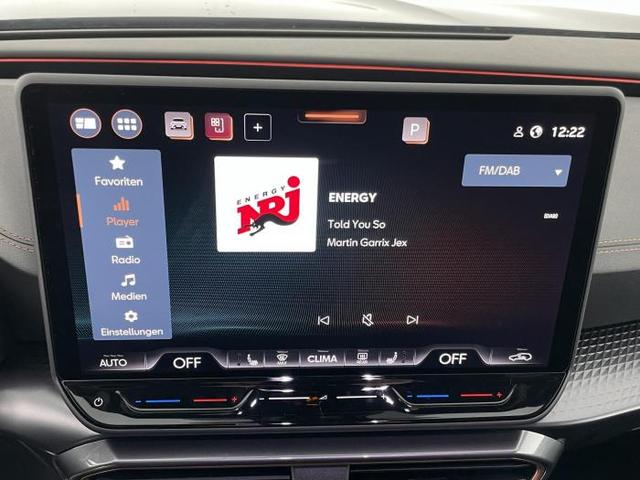 Cupra Formentor VZ 2.0 TSI *DCC*PANO*AHK*LED*SHZ* 