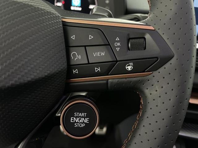 Cupra Terramar VZ 2.0 TSI 4Drive 195kW (265 PS) 7-Gang-Doppelkupplungsgetriebe DSG 