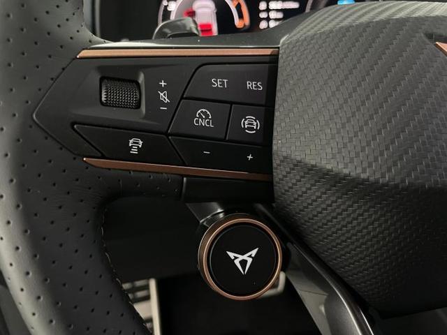 Cupra Terramar VZ 2.0 TSI 4Drive 195kW (265 PS) 7-Gang-Doppelkupplungsgetriebe DSG 