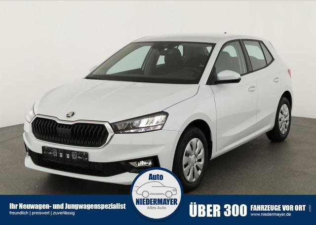 Skoda Fabia - Selection 1.0 TSI Selection, AHK, Tempomat, Ladeboden, Park, Winterpaket, SmartLink, 4-J Garantie