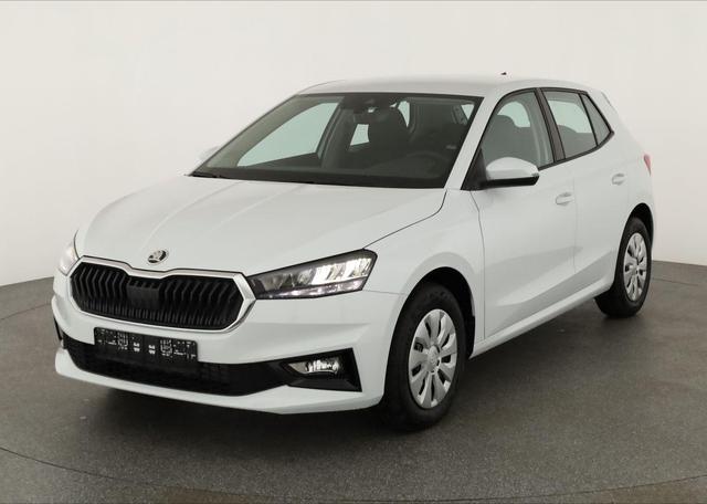 Skoda Fabia - Selection 1.0 TSI Selection, AHK, Tempomat, Ladeboden, Park, Winterpaket, SmartLink, 4-J Garantie