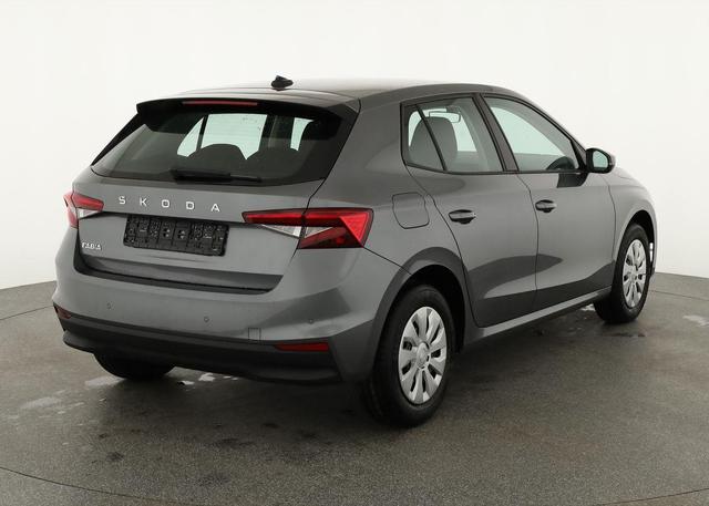 Skoda Fabia Selection 1.0 TSI Selection, Ladeboden, Park, Winterpaket, SmartLink, 4-J Garantie 