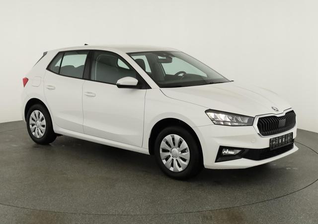 Skoda Fabia Selection 1.0 TSI Selection, Ladeboden, Park, Winterpaket, SmartLink, 4-J Garantie 