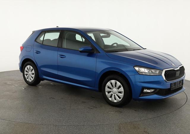 Skoda Fabia Selection 1.0 TSI Selection, Ladeboden, Park, Winterpaket, SmartLink, 4-J Garantie 