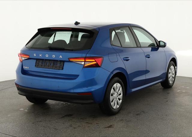 Skoda Fabia Selection 1.0 TSI Selection, Ladeboden, Park, Winterpaket, SmartLink, 4-J Garantie 