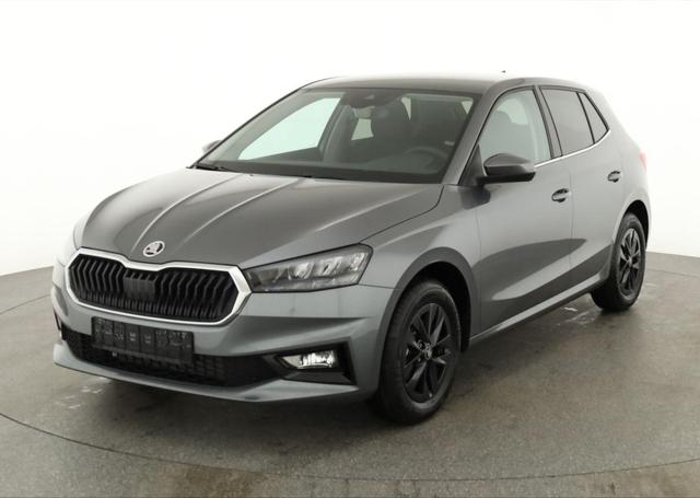 Skoda Fabia - Selection 1.0 TSI DSG Selection, 15-Zoll schwarz, Winter, Ladeboden