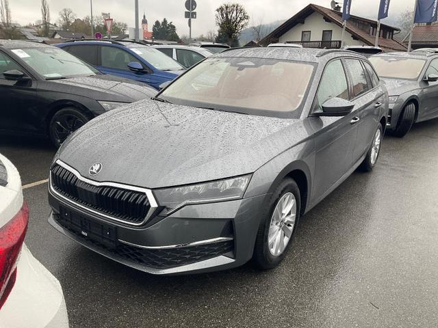 Skoda Octavia Combi - 1.5 TSI mHEV 110 kW Selection eTSI DSG Selection, FS-beheizbar, LED, Kamera, Side, Winter, sofort