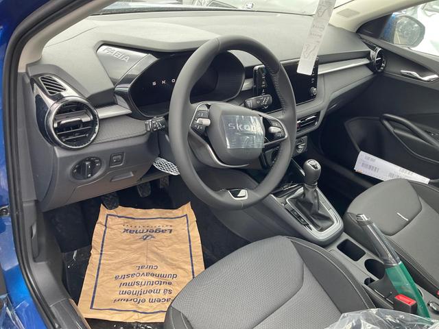 Skoda Fabia Selection 1.0 TSI Selection, Tempomat, Park, Winterpaket, SmartLink, 4 J.-Garantie 